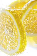 Lemon Fizz - Gail MacDiarmid