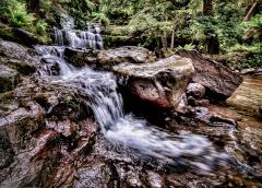 Liffey Falls - Steve Mullarkey