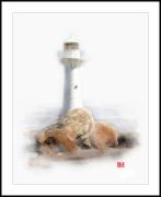 Lighthouse - Tim Collisbird