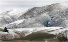 Lindis Pass - Dawn Zandstra