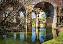 Lithgow-Viaduct-4 - Janice Gursanscky