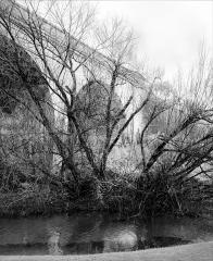 Lithgow_Viaduct-JaniceG - Janice Gursanscky