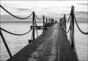 Lone fish red - ... ...