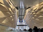 Long way down - Maureen Rogers