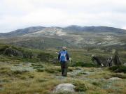 Looking-towards-Mt-Kosciuszko - Jan Glover