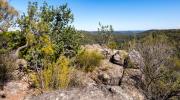 Lookout Point Loop track  190825 44675-Pano - Donald Gould