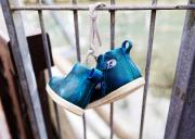 Lost Shoes in Web P2235458 DxO - Christo van Rensburg