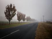Lue road in fog - Hemant Kogekar