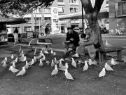 Lunch for everyone - Maureen Rogers