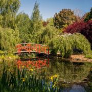 MG11 - Judith Bennett