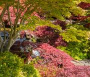 MG15 - Judith Bennett