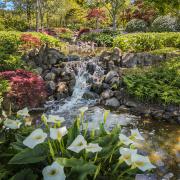 MG27 - Judith Bennett