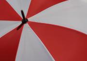 M BROLLY P Finlay-gigapixel-hq-scale-2 00x - ... ...