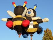 M Floating Bumble Bees P Sambell - ... ...
