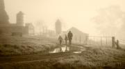 M Foggy Morning On The Farm BHandley - ... ...