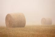 M Haystacks in Mist C Petti-gigapixel-hq-scale-2 00x - ... ...