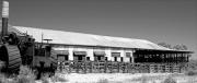 M Kenchegga Woolsheds John Bardell - ... ...