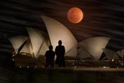 M Lunar Cliche BHandley - ... ...