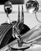 M Packard Emblem BHandley - ... ...