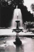 M The Duck Fountain Annabel Lawlor - ... ...