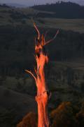 M lastrays P-gigapixel-hq-scale-2 00x - ... ...