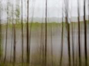 Mackenzie Lake in the Rain - Janice Gursanscky