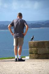 Magpie 1 - Human 0 - Bruce Wilson