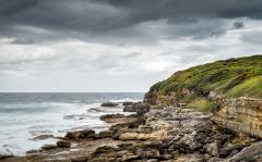 Malabar Coastline - David Ross