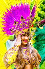 Mardi Gras - David Ross