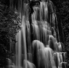 McLean Falls - Shirley Steel