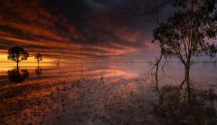 Menindee Evening - Ivor Barnard