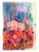 Merit Poppies Jan Glover - ... ...