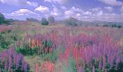 Merit Slides Dawn Zandstra Carpet of Lupins - ... ...
