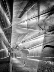 Metro Mono - Carol Abbott