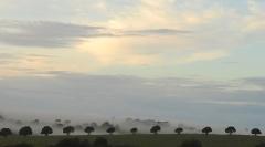Milton Mist - Beryl Jenkins