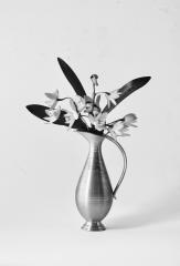 Miniature Orchids - Beryl Jenkins
