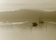 Mist-on_North_Arm - Fran Brew