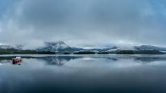 Misty - Strat Mairs