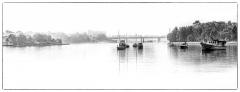 Misty Harbour - Steve Mullarkey