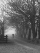 Misty Morn - ... ...