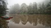 Misty Morning - ... ...