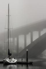 Misty Morning - David Ross