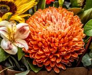 Mixed Bunch - Steve Mullarkey