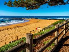 Mona Vale Beach - Ray Seaver