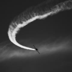 Monoplane in Mono - Janice Gursanscky