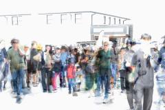 Moon Dances - Judith Frost