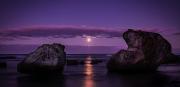 Moon Rocks - Rod Carter