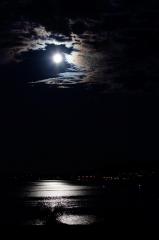 Moonlight over Water - Gail MacDiarmid