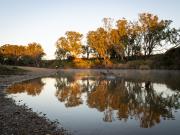 Morning Light Reflection - Xuan Nguyen