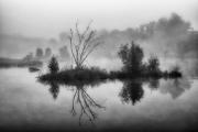Morning Mist - Steve Mullarkey